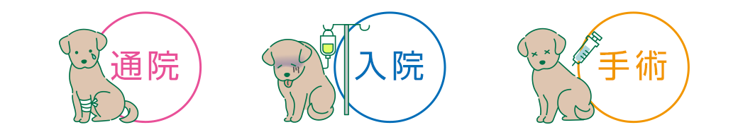 通院 入院 手術