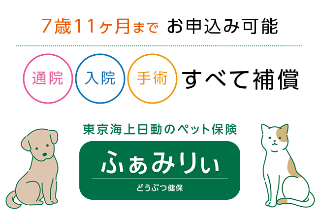 7歳11カ月までお申込み可能 入院通院手術全て補償 東京海上日動のペット保険どうぶつ健保ふぁみりぃ
