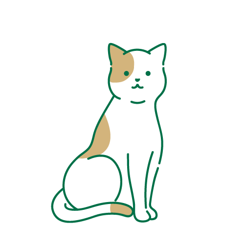 猫