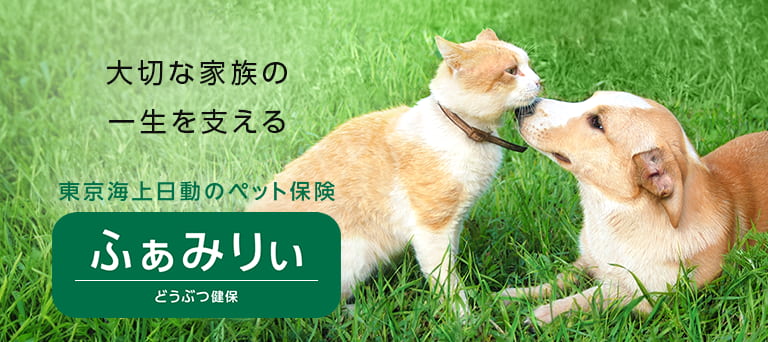 大切な家族の一生を支える 東京海上日動のペット保険