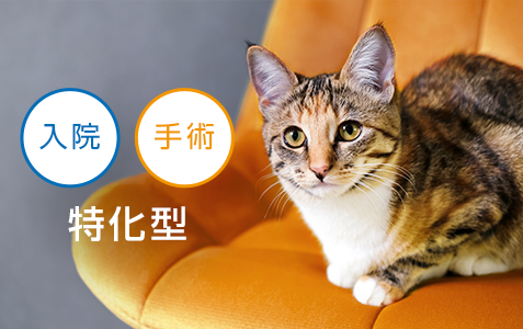 入院 手術の特化型