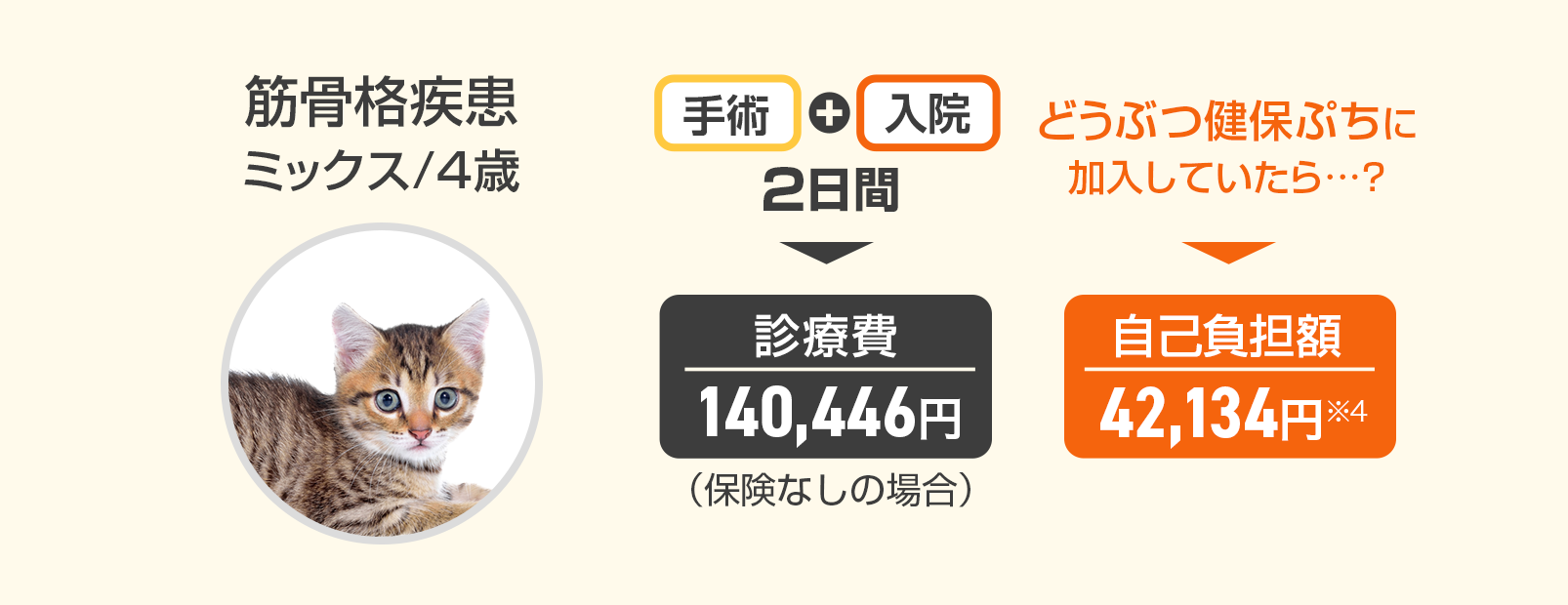 『筋骨格疾患』ミックス/4歳の場合