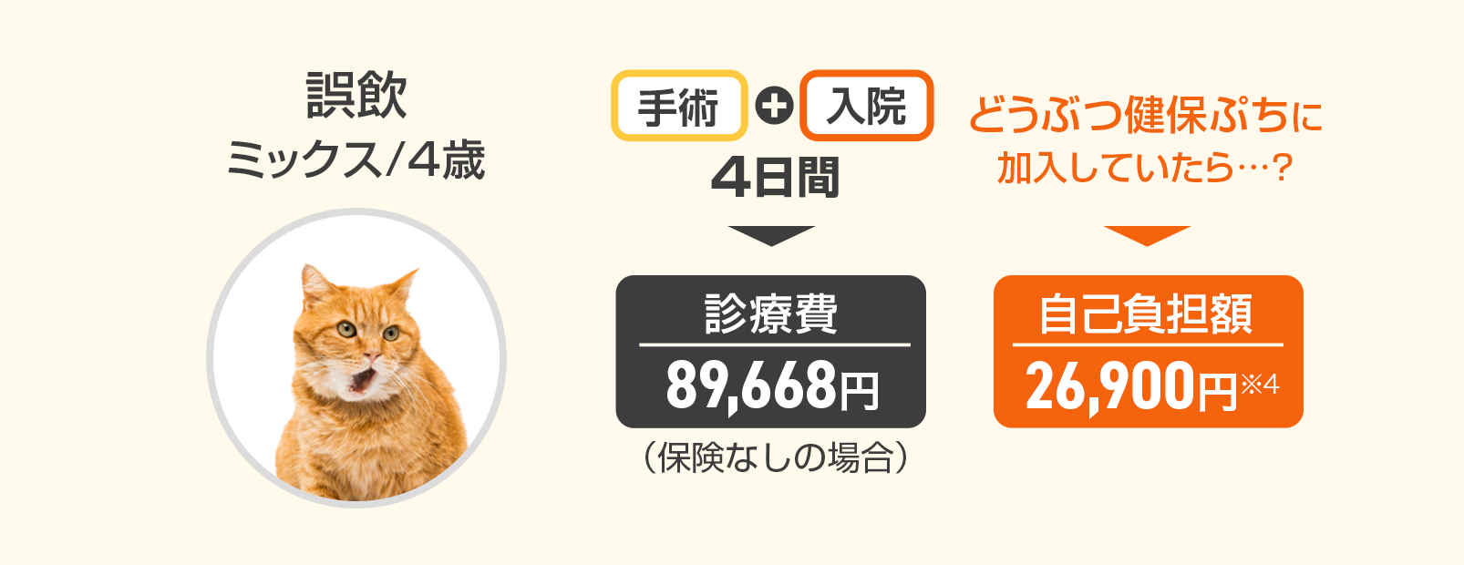 『誤飲』ミックス/4歳の場合