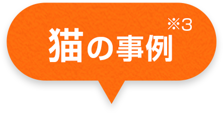 猫の事例 (※3)
