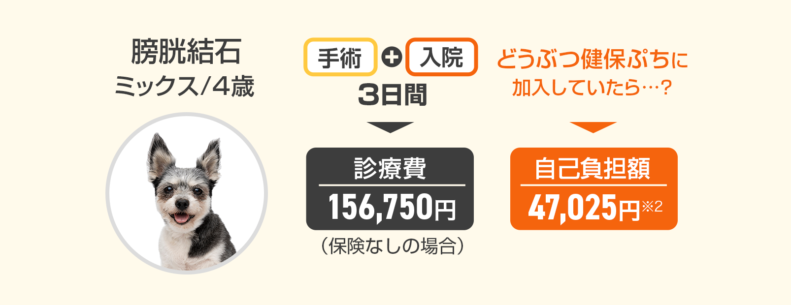 『膀胱結石』ミックス/4歳の場合