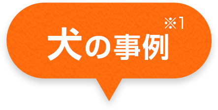 犬の事例 (※1)