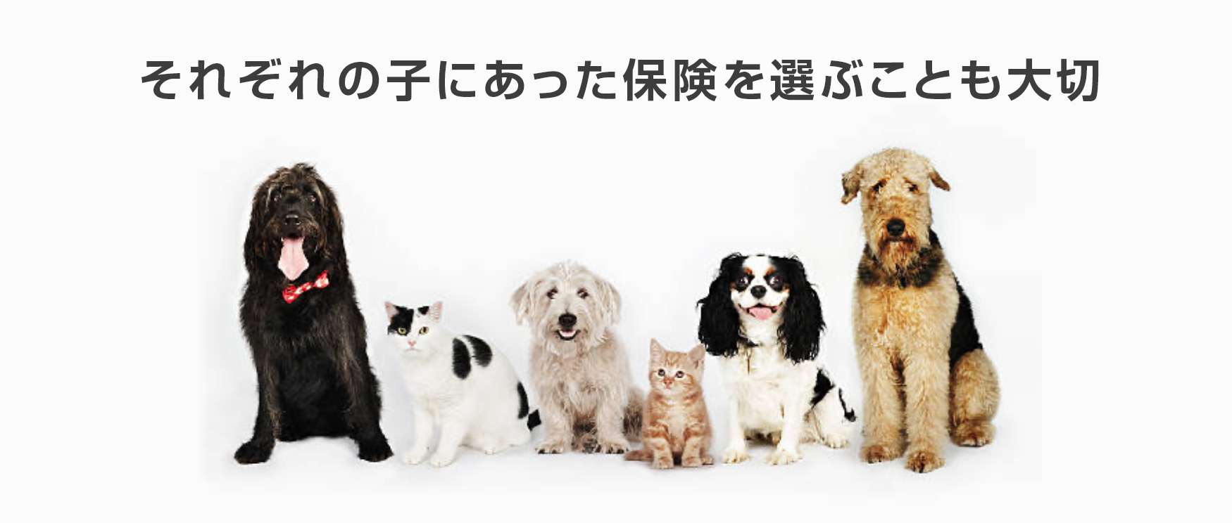 それぞれの子にあった保険を選ぶことも大切