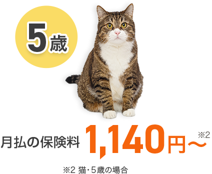 【5歳】月払の保険料 1,140円～ ※2 猫・5歳の場合