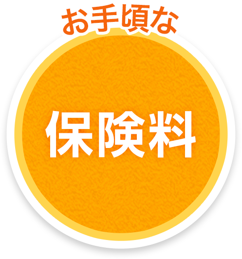 お手頃な保険料