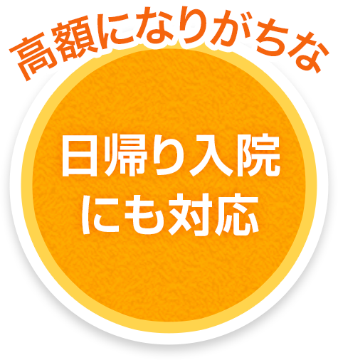 高額になりがちな 日帰り入院にも対応