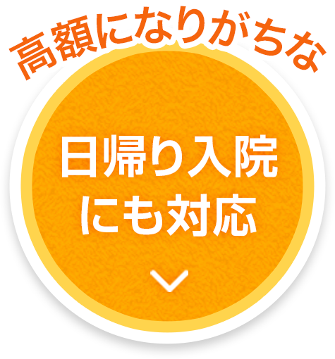高額になりがちな 日帰り入院にも対応