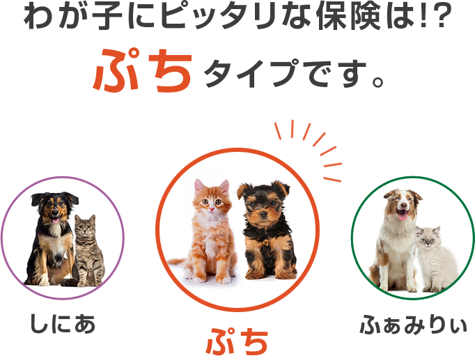わが子にピッタリな保険は！？『ぷち』タイプです。