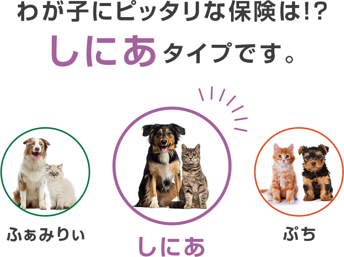 わが子にピッタリな保険は！？『しにあ』タイプです。