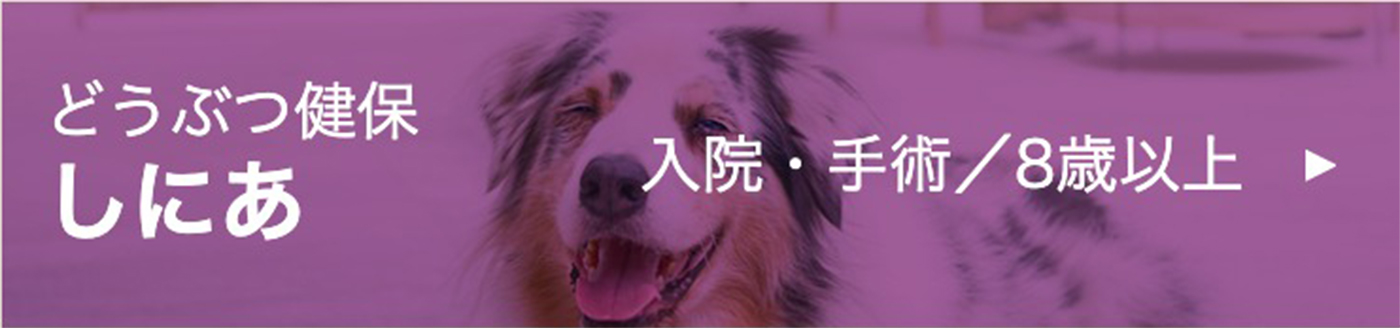 どうぶつ健保 しにあ（入院・手術）