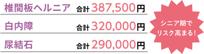 椎間板ヘルニア 合計387,500円 白内障 合計320,000円 尿結石 合計290,000円 シニア期でリスク高まる！
