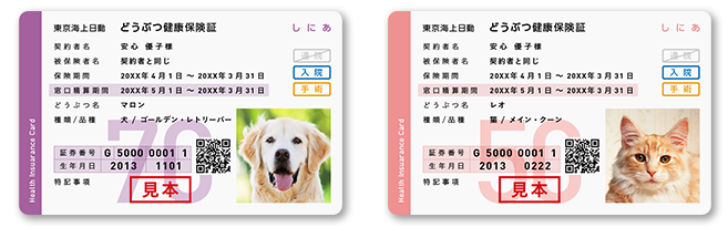 どうぶつ健康保険証