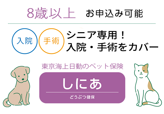8歳以上お申込み可能　シニア専用！入院・手術をカバー 東京海上日動のペット保険 しにあ