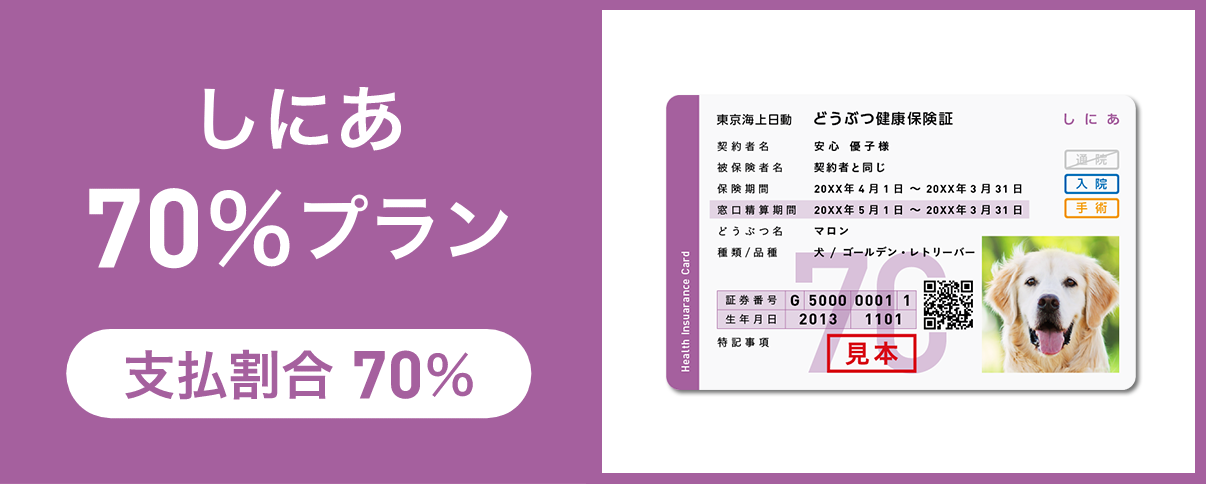 しにあ70％プラン 支払割合 70％
