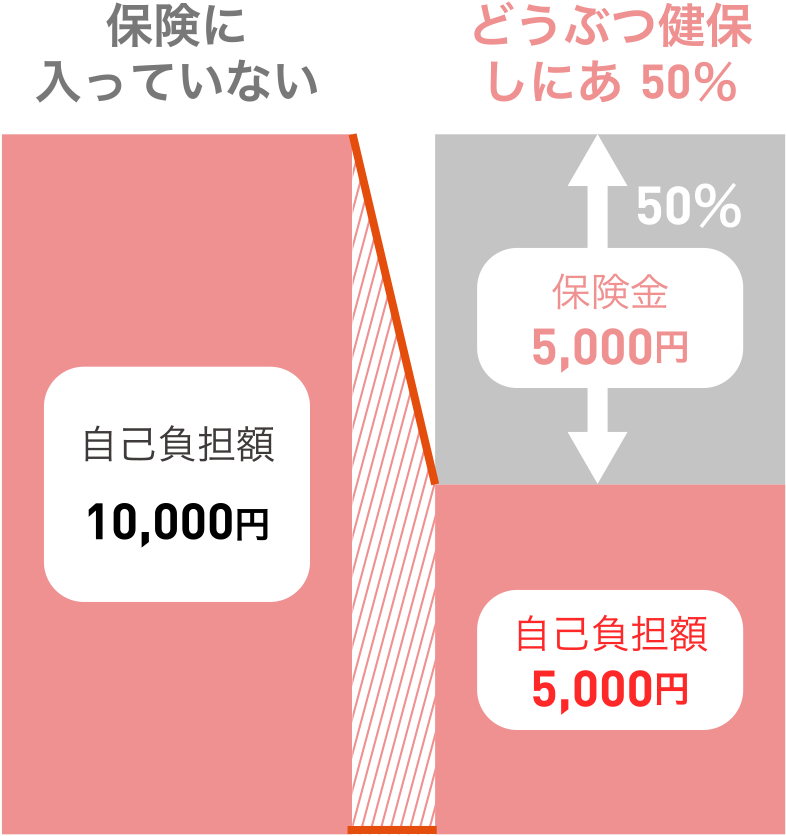 入院2日 診療費 10,000円の場合