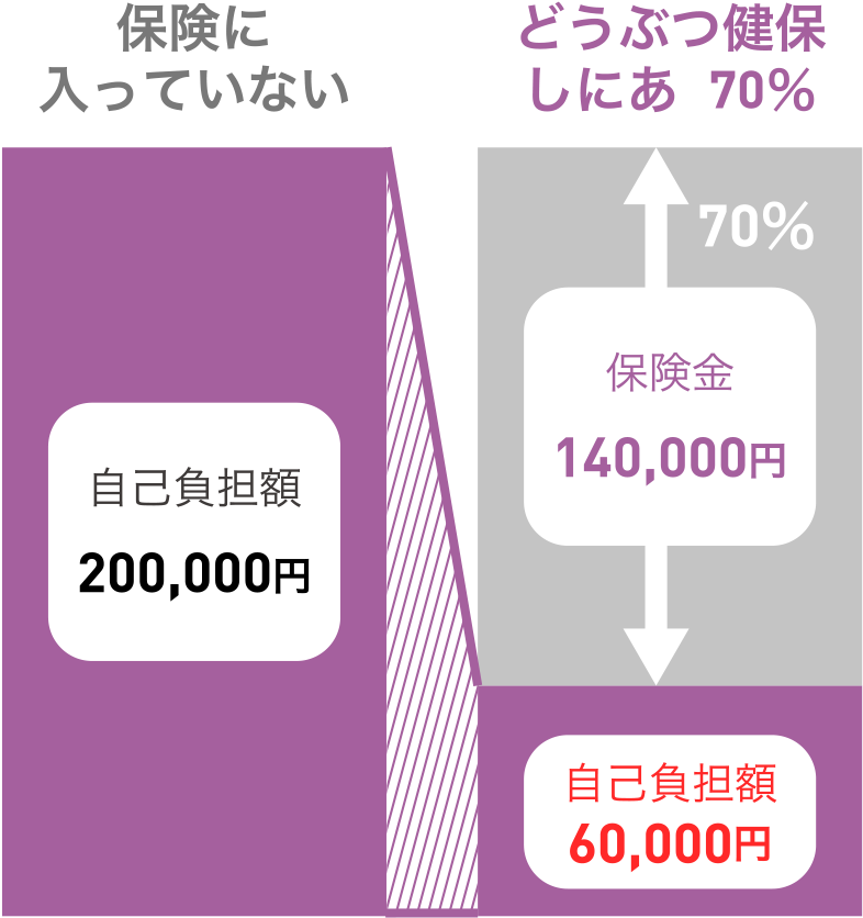 手術1回＋入院4日 診療費 200,000円の場合