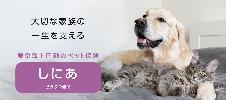 アニコム損保は窓口精算ができる信頼のペット保険